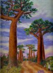 Les baobabs au coucher de soleil / Eric GUIGNET / 0692.76.00.58